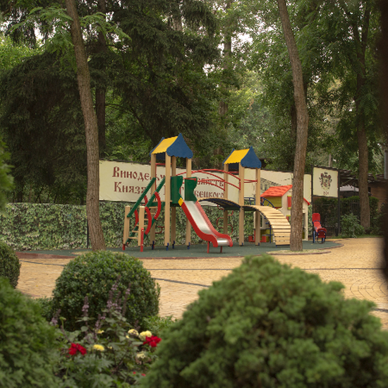 Hotel photo Alliance City Park-Hotel Goloseevo