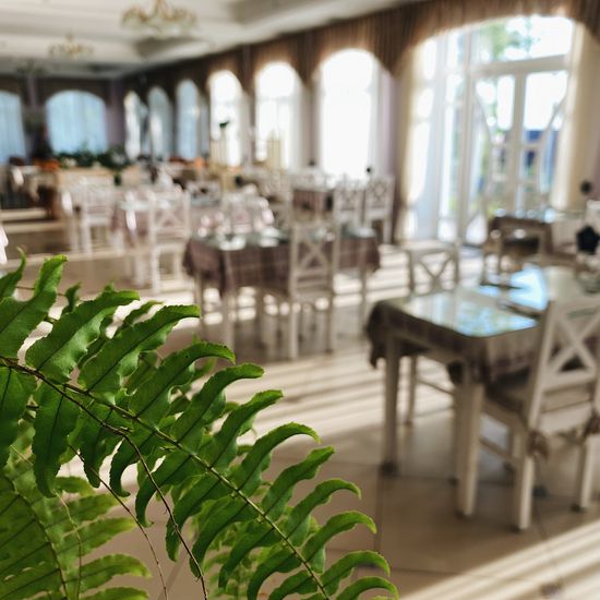 Фото ресторану / бару готелю VitaPark Сонячний Прованс