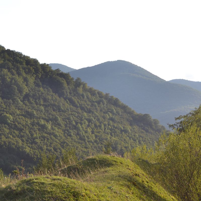 Rooms photoVitaPark Carpaty