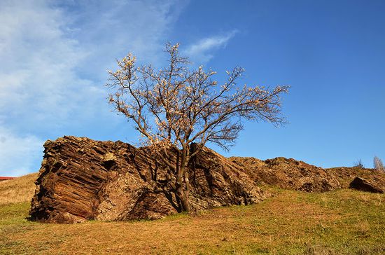 Скелі МОДРу