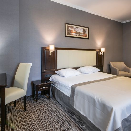 Фото категорії номера готелю Optima Collection Парк Готель Івано-Франківськ