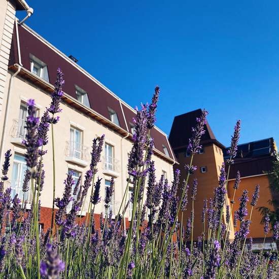 Hotel photo VitaPark Sunny Provence