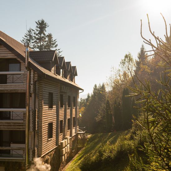 Фото готелю VitaPark Карпати