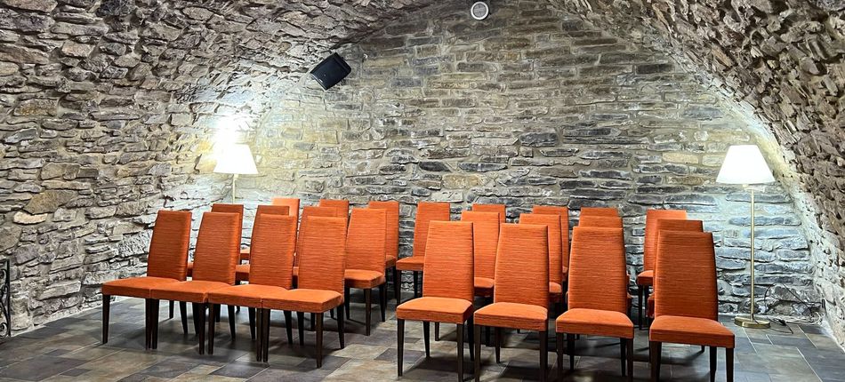 Conference serviceKamianets-Podilsky