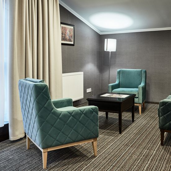 Фото категорії номера готелю Optima Collection Парк Готель Івано-Франківськ