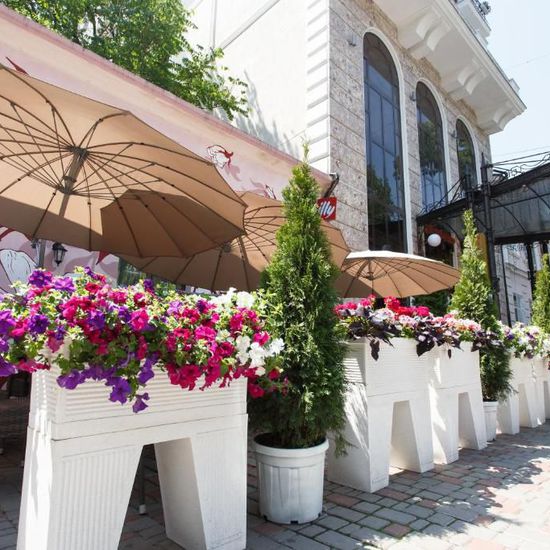 Hotel photo Alliance City Boutique Hotel California